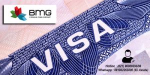 Data Apa Saja Yang Ditulis dalam Visa